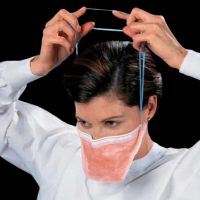 Person putting on a Haylard N95 Duckbill Mask. thumbnail